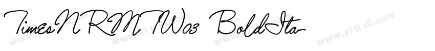 TimesNRMTW03 BoldIta字体转换